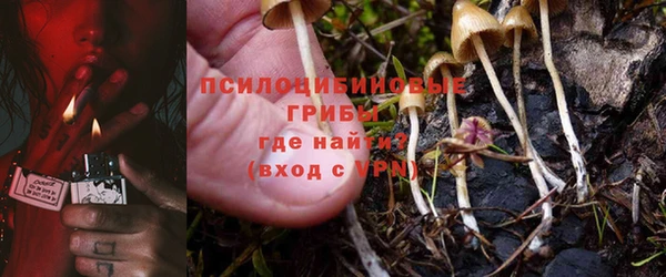 гидропоника Алзамай