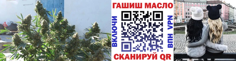 ОМГ ОМГ tor  магазин продажи   Курчалой  это состав  ТГК Wax 