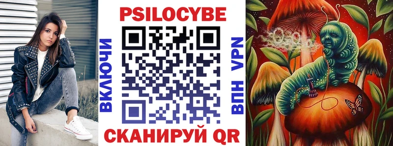 Галлюциногенные грибы GOLDEN TEACHER как найти закладки Курчалой