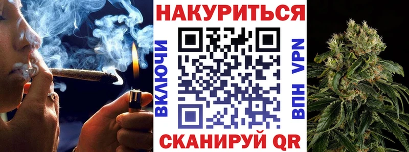 Каннабис ГИДРОПОН цены Курчалой